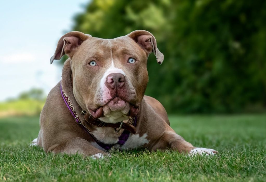 WhatsApp Bild 2025-09-26 um 08.08.41_fbb95961